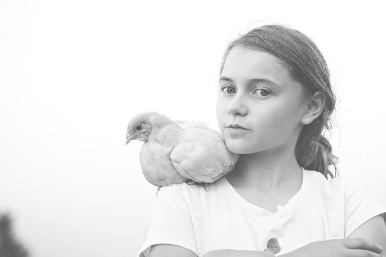 natalie lavender ameraucana web