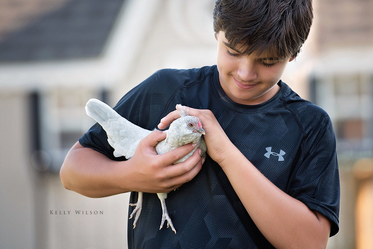 d'Anver chicken lavender cuckoo